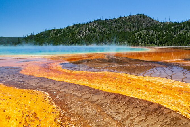 Best of Yellowstone National Park From Gardiner – Private Tour