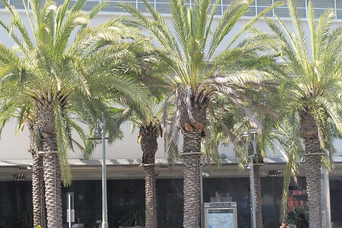 Black History Tours of South LA (Guided Van Tour) – Crenshaw