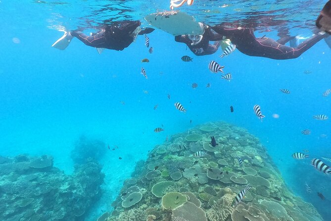 Boat Snorkeling Trip 2 Rounds at Nakijin, Motobu , Okinawa - Overview of the Boat Snorkeling Trip