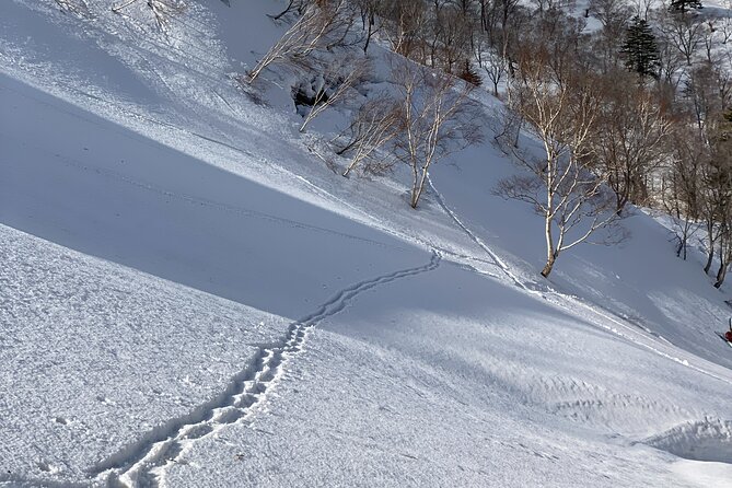 Cape Shakotan Ocean View Walking Path Snowshoeing