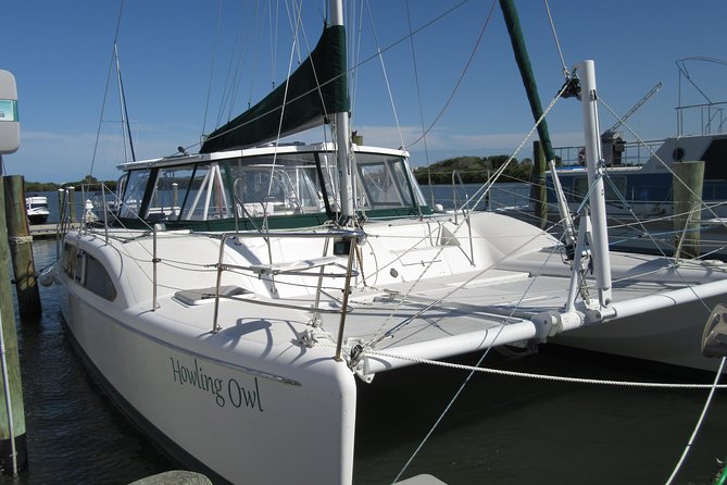 Catamaran Sailing Dolphin/Manatee Watch in Daytona Beach