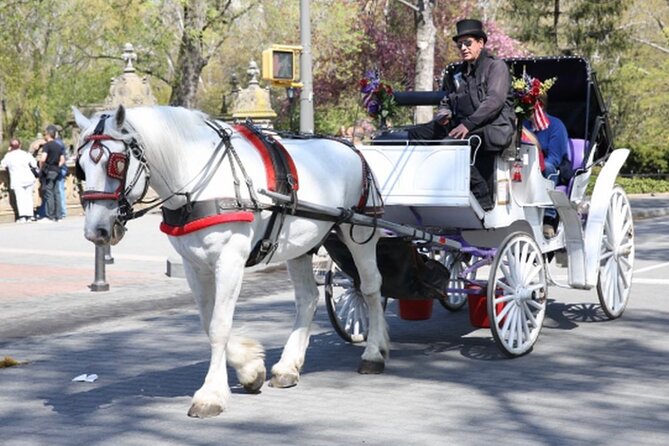 Central Park and NYC Private Horse Carriage Ride