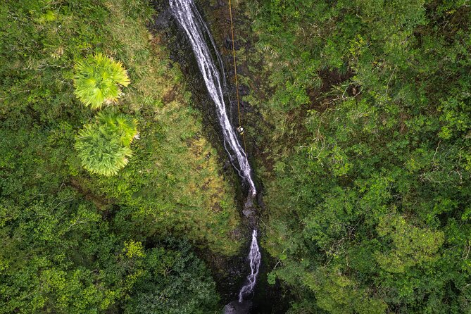 Chasing Waterfalls:Wild Hawaii Rappelling