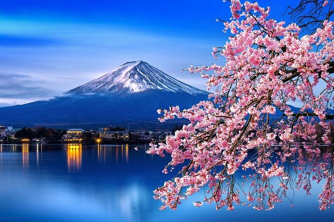Cherry Blossom Mount Fuji Customizable Luxury Vehicle Guided Tour