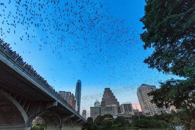 Congress Avenue Bat Bridge Kayak Tour in Austin