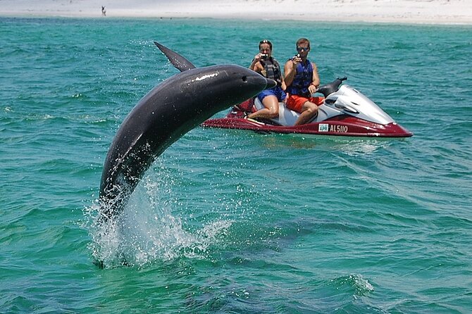 Crab Island Dolphin Jetski Adventure