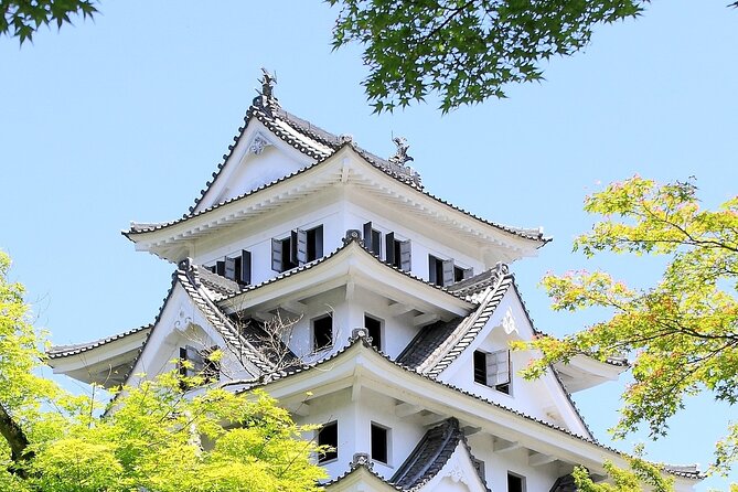 Day Tour From Nagoya in Gujo Hachiman Takayama and Shirakawago