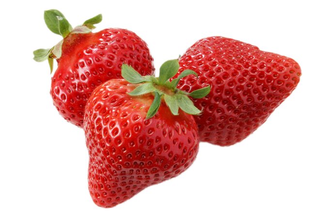 Day Trip Bus Tour to Fruits Pick & Dazaifu, Itoshima From Fukuoka - Tour Overview