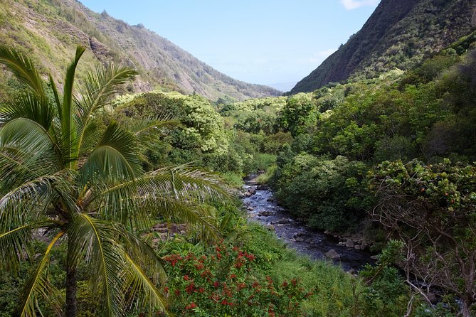 Day Trip Oahu to Maui: Sips, Sites and Bites