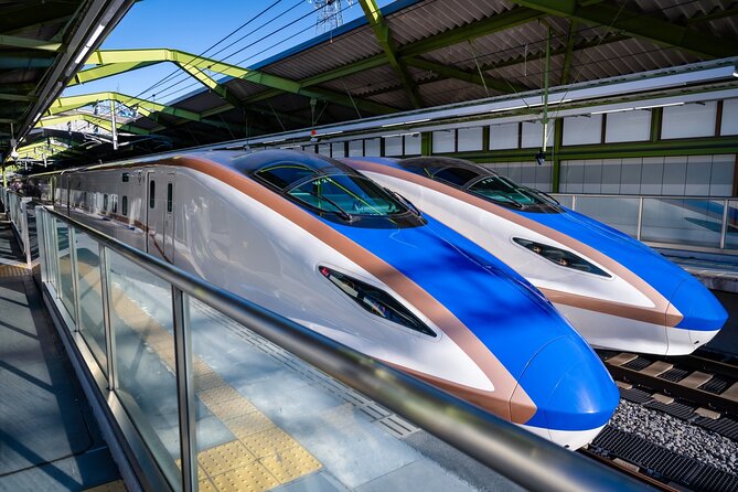 Day Trip Snow Monkey in Nagano From Tokyo by Bullet Train