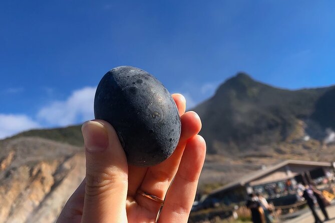 Day Trip to Hakone From Tokyo With National Licensed Guide