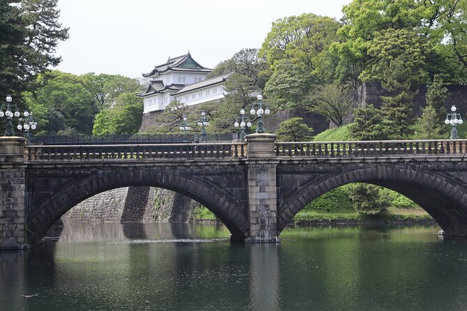 Discover the Heart of Tokyo Private Tour With Romy