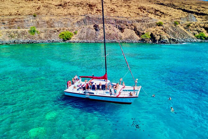 Discover the Magic of Coral Garden’s Turtle Town – Maalaea Harbor