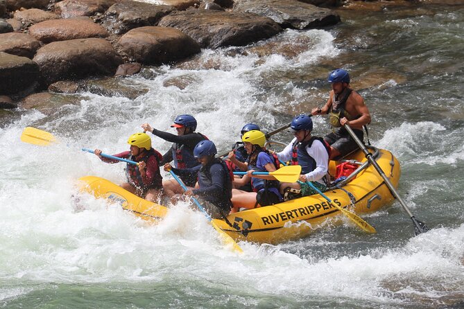 Durango 4.5 Half-Day Rafting Trip Down the Animas River - Trip Overview and Details