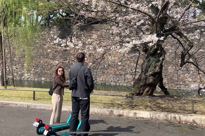E-Scooter Tour With a Private Guide Tokyo