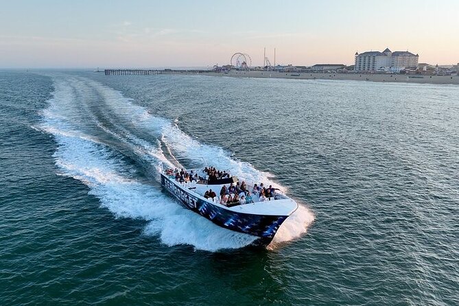 EARLY BIRD: Speed Boat & Dolphin Cruise in Ocean City, MD