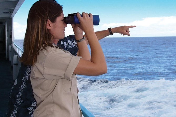 Early Bird Whale Watching Cruise From Waikiki