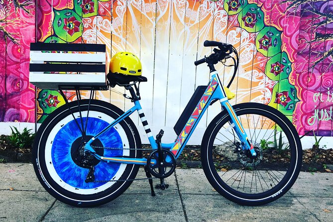 Electric Bike Art and Architecture Guided Tour in Jacksonville