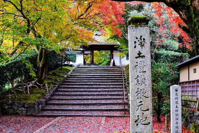 Enjoy Hot Spring Bath / Onsen and Sakura / Cherry Blossom View
