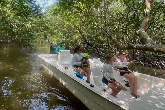 Everglades Mangrove Wilderness Boat Tour