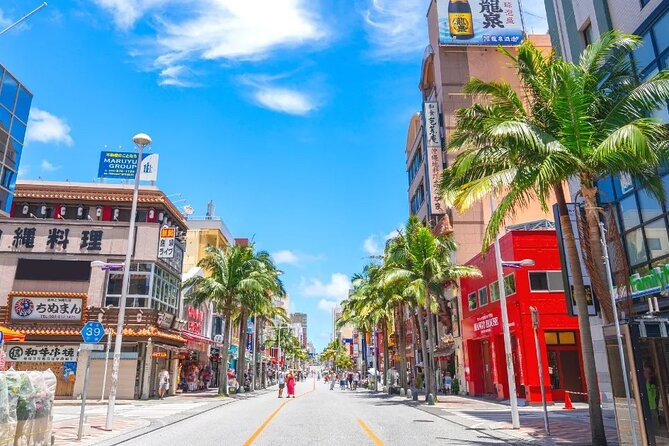 Exclusive Private Full Day Okinawa Island Tour With a Local Guide - Tour Overview