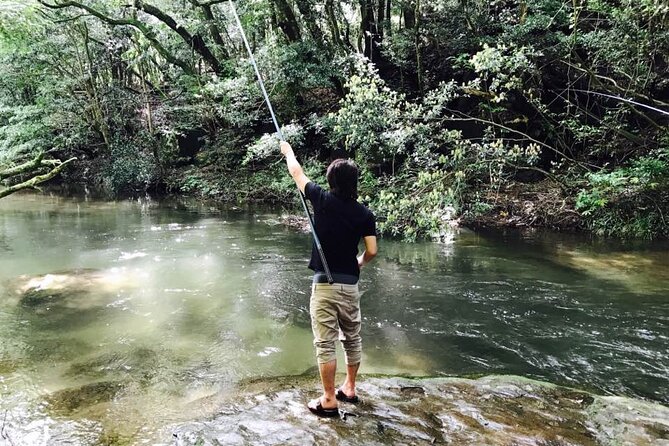 Explore Private Jungle Emerald Green Waterfall With Transfer - Tour Overview