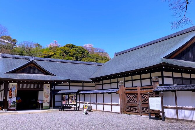 Explore the Historic Castle Town of Hikone From Kyoto