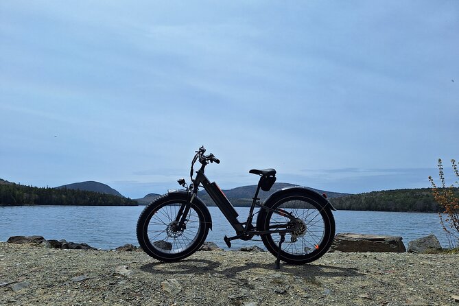 Fat Tire E-Bike Rental in Bar Harbor - Overview and Pricing