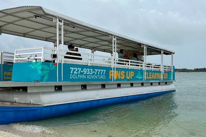 Fins Up – Dolphin & Island Sandbar Adventure in Clearwater Beach