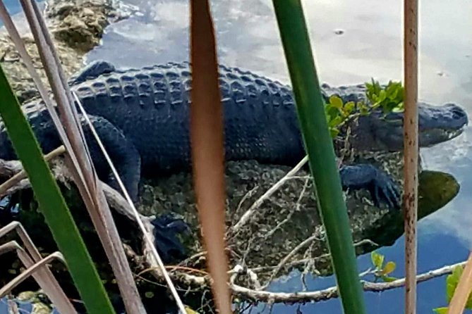 Florida Keys Nature & History Tour From Key West
