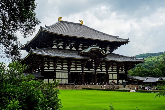 From Osaka, Nara Private Customizable Day Tour
