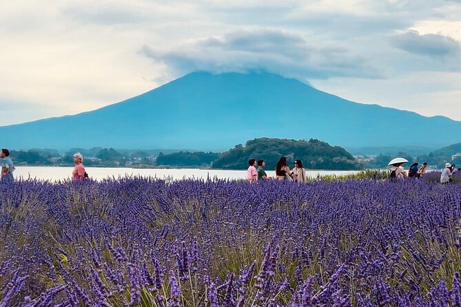 Fuji and Hakone Private Tour With English Guide and Photography