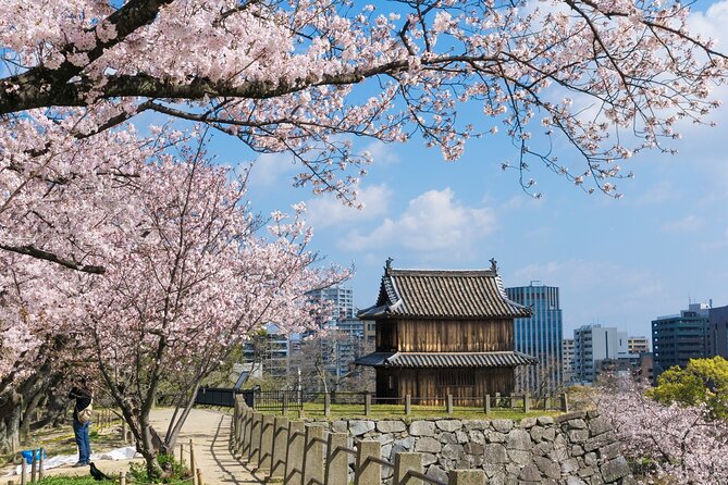 Fukuoka Private Customizable Full Day Tour