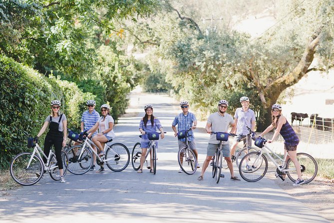 Full-Day Napa Valley E-Bike Tour With Picnic Lunch