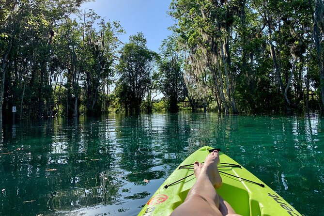 Full Day Single Kayak Rental In Crystal River - Overview of the Kayak Rental Experience
