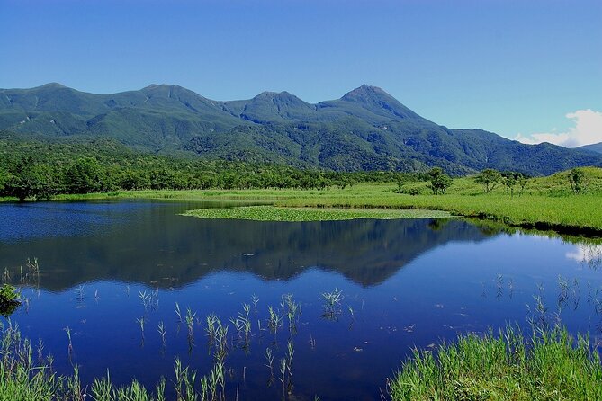 Full-day Tour in Hokkaido Natural Heritage Shiretoko Adventure - Tour Overview