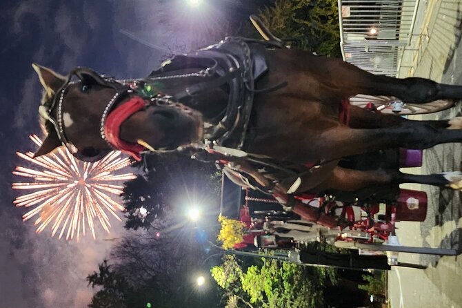 Full Loop Private Horse Carriage Ride in Central Park 45 Minutes