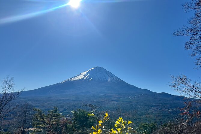 Fun Trail in Tokyo - Schedule and Availability