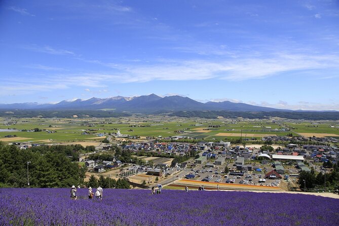 Furano, Biei & Blue Pond Full-Day Private Tour (Up to 21 Pax)