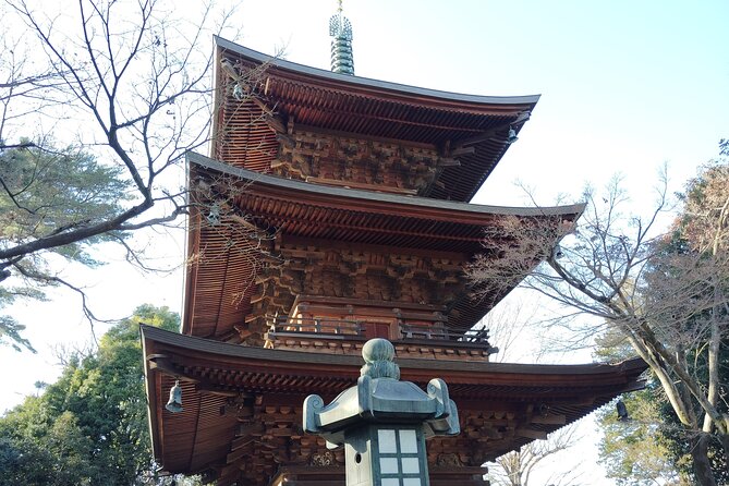 Gotokuji Temple Walking Tour With Numerous Cat Statues
