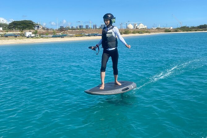 Group of 2 + Mid Length Efoil Experience Honolulu HAWAII