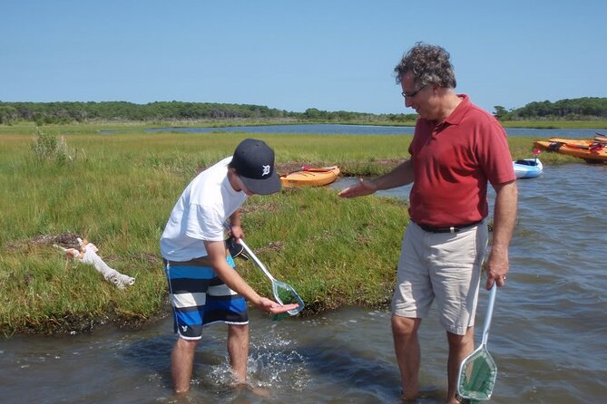 Guided Assateague Kayaking and Wildlife Discovery Tour - Whats Included in the Tour