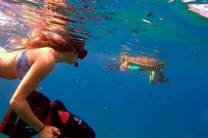 Guided Turtle Town Snorkel Tour With Sea Scooter – Makena