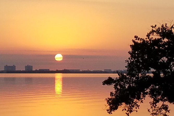 Guided Two Hour Boat Tour of the Indian River Lagoon
