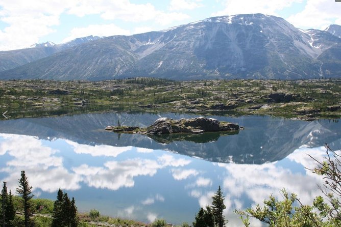 Half Day Yukon Suspension Bridge & Summit Tour - Tour Overview and Details