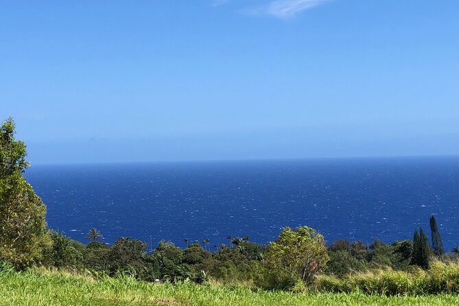 Hamakua Coast Farm Small-Group Walking and Tasting Tour