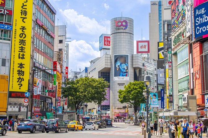 Haneda Layover Tokyo Private Tour by Public Transportation