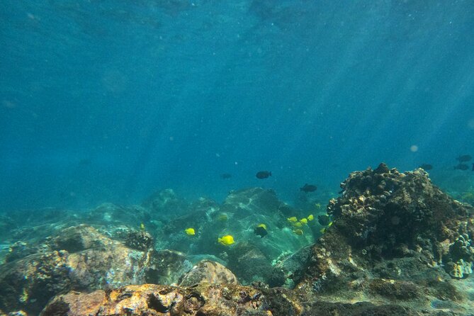 Hawaiian Sail and Snorkel in Kailua-Kona, Hawaii