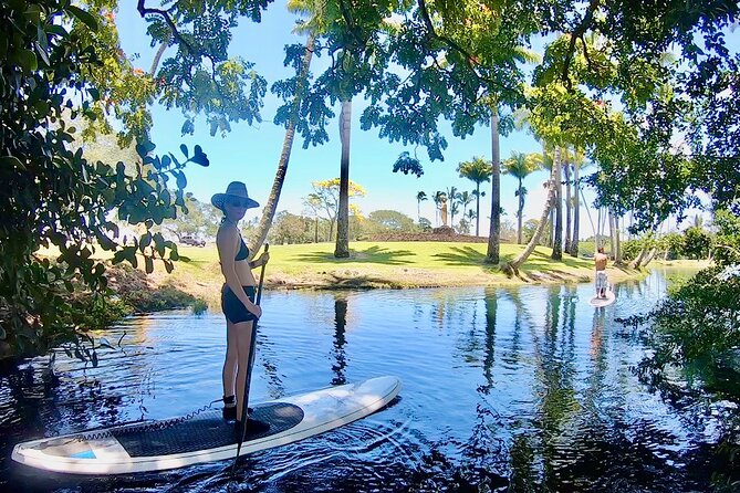 Historic Hilo Bay & Coconut Island SUP Adventure