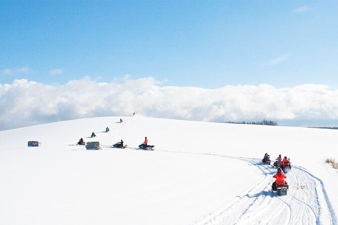 Hokkaido: Asahiyama Zoo, Furano, and Ningle Terrace Full Day Tour - Location and Price
